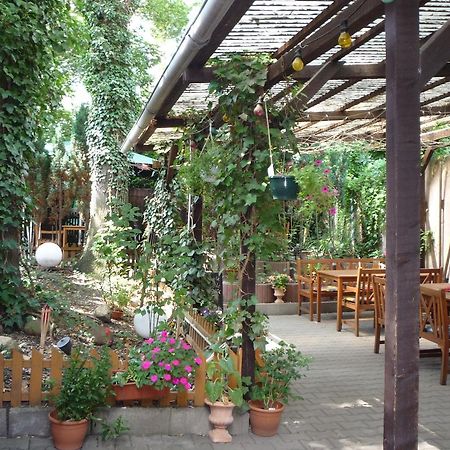 Gasthof & Pension Hause Halle  ภายนอก รูปภาพ